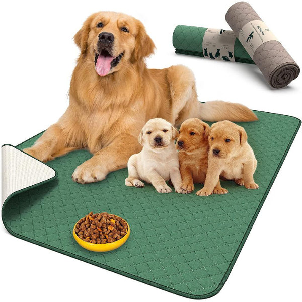 How Do Puppies Know To Pee On Puppy Pads